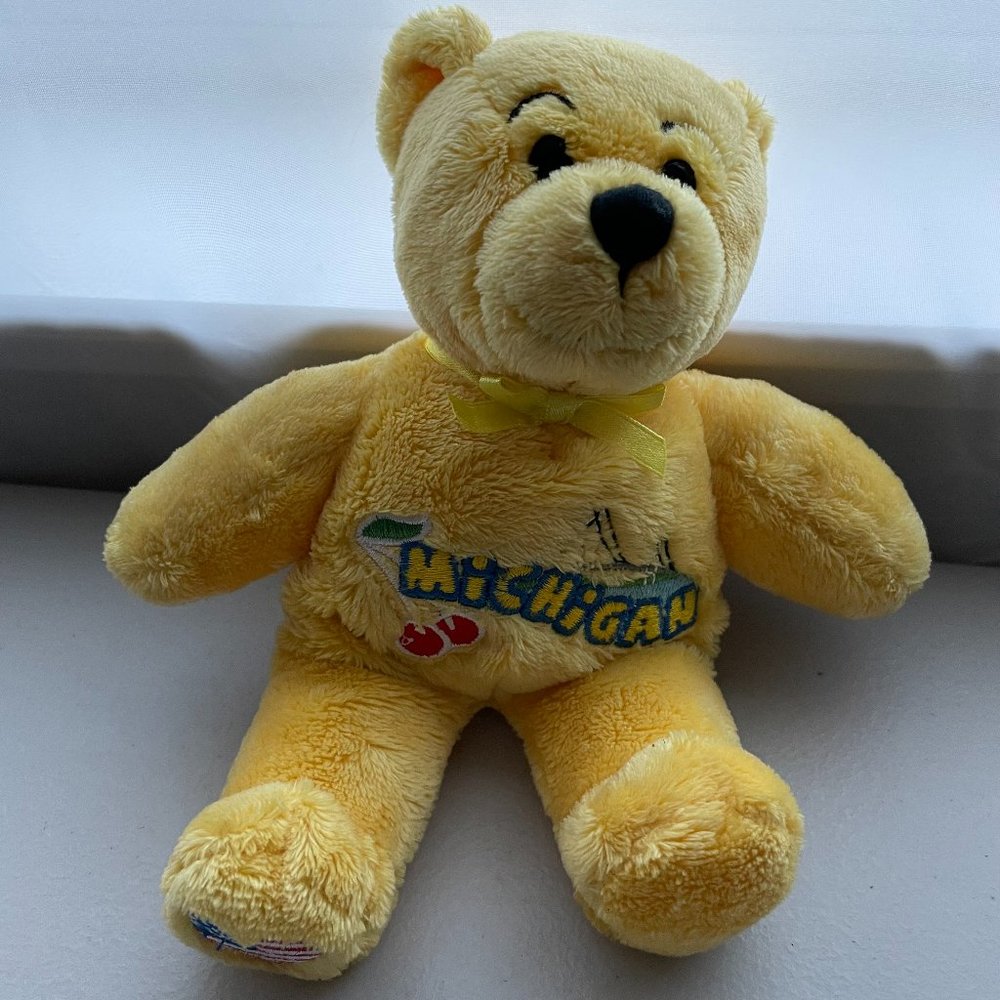 Vintage Symbolz Michigan Souvenir Teddy Bear 8” like new